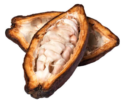 Cacao